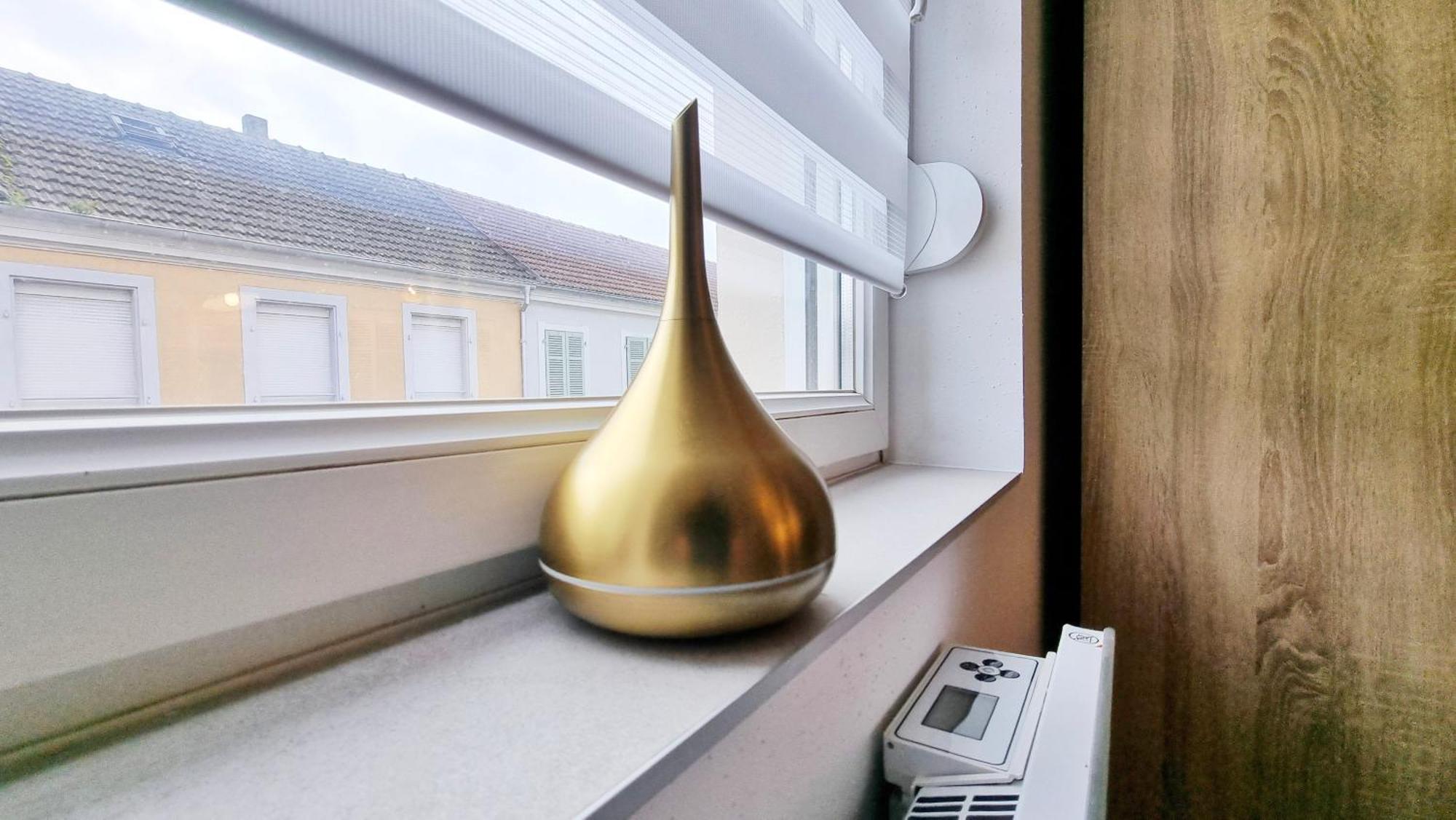 Les Suites Mulhousiennes - Charme & Serenite Mulhouse Eksteriør bilde
