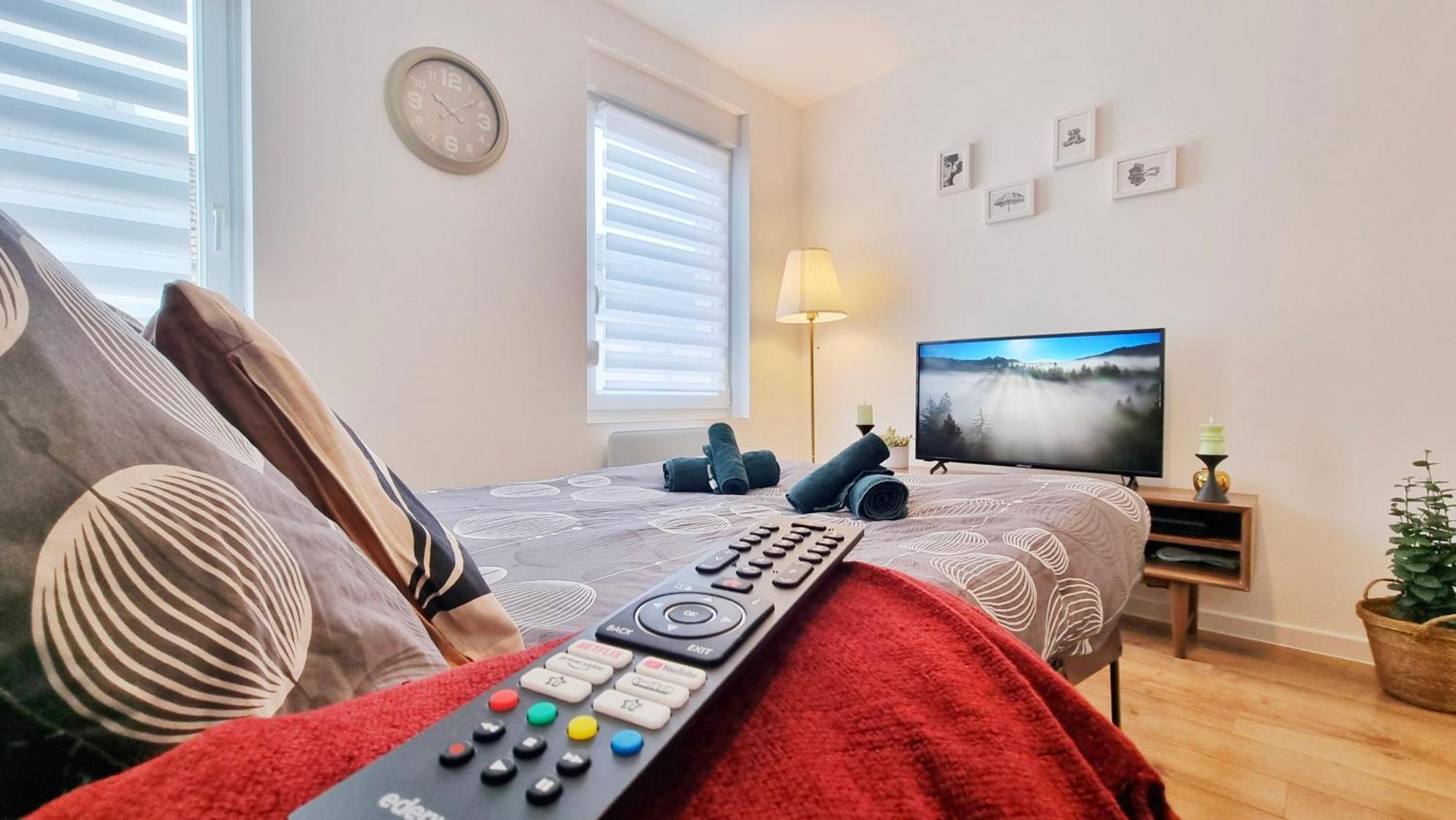Les Suites Mulhousiennes - Charme & Serenite Mulhouse Eksteriør bilde